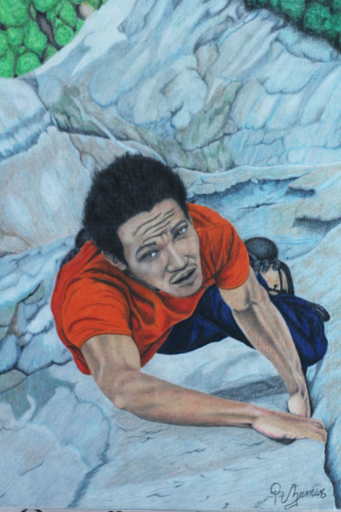 Struggle to Climb.JPG